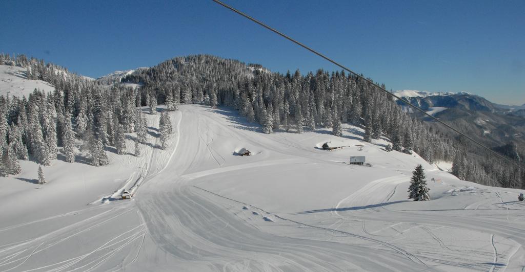 Holzbox Niederalpl Aparthotel Murzsteg ภายนอก รูปภาพ