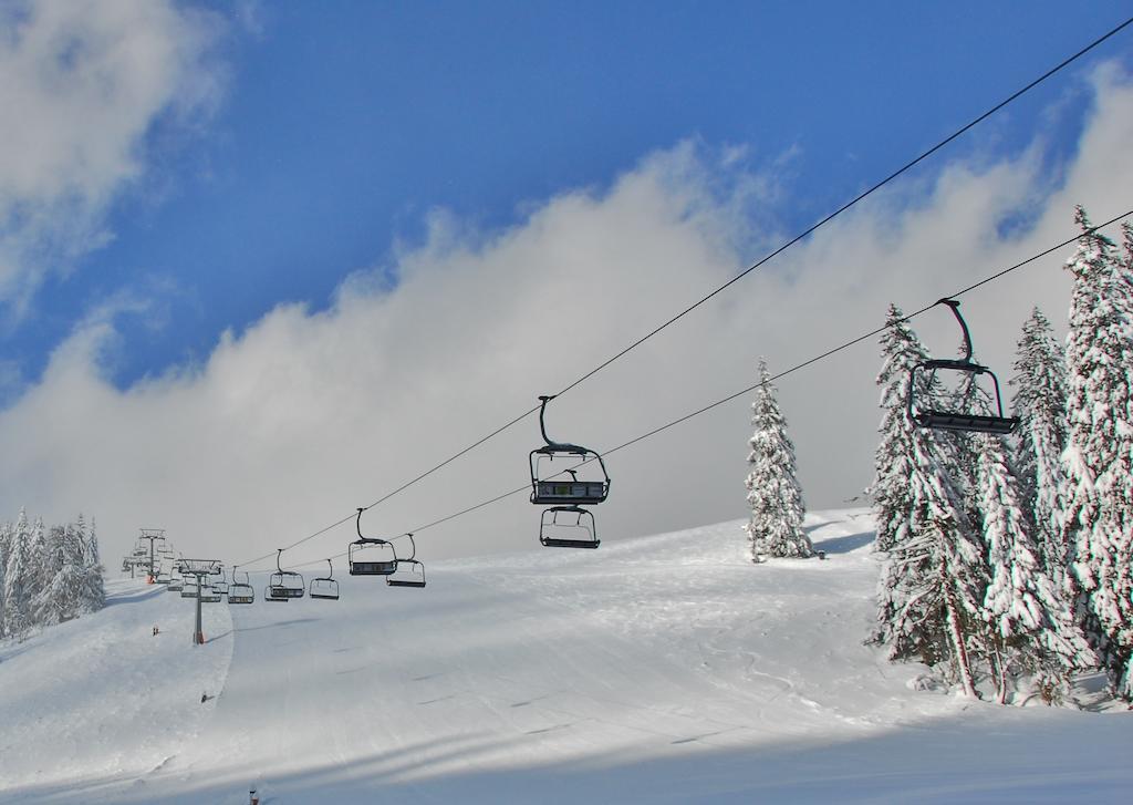 Holzbox Niederalpl Aparthotel Murzsteg ภายนอก รูปภาพ
